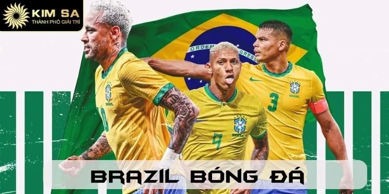 Brazil Bóng Đá - Tin Tức Và Kèo Cược Hấp Dẫn Tại Kimsa