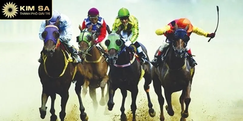 Cần nắm rõ các mẹo trong đua ngựa Kimsa để có cơ hội thắng