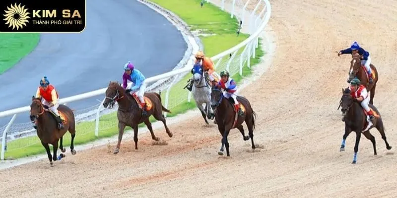 Đa dạng hình thức giao kèo, hội viên thoải mái lựa chọn